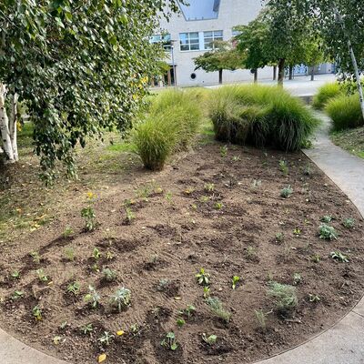 Bild vergr&ouml;&szlig;ern: pflanzaktion DB_1