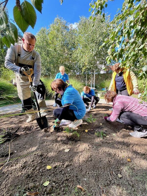 Bild vergr&ouml;&szlig;ern: pflanzaktionDB_3